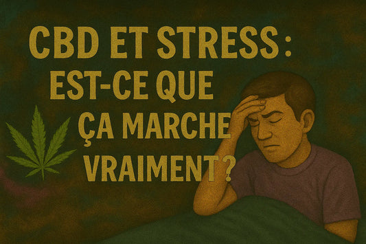 CBD-et-stress-est-ce-que-ça-marche-vraiment cannabidream