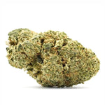 Girl Scout Cookie