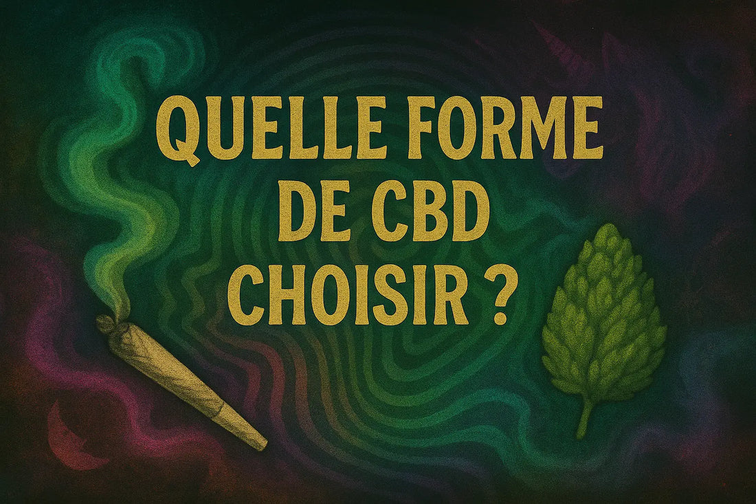 Quelle-forme-de-CBD-choisir cannabidream