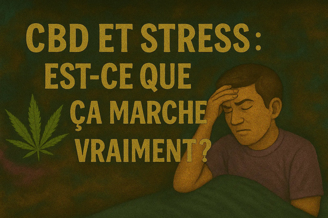 CBD-et-stress-est-ce-que-ça-marche-vraiment cannabidream