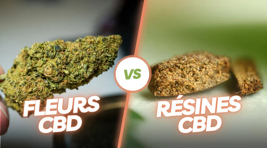 🌿 Quelle forme de CBD choisir ?