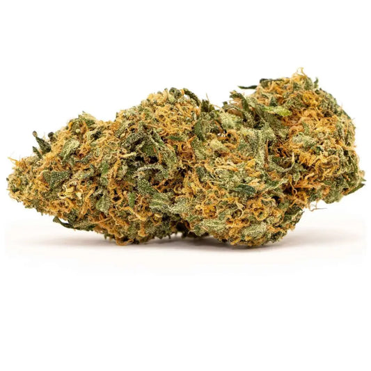 Mango Kush Cannabidream