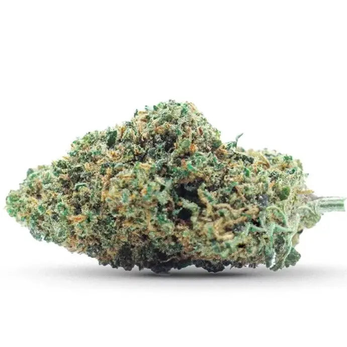 Gelato Cannabidream