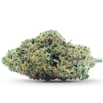 Gelato