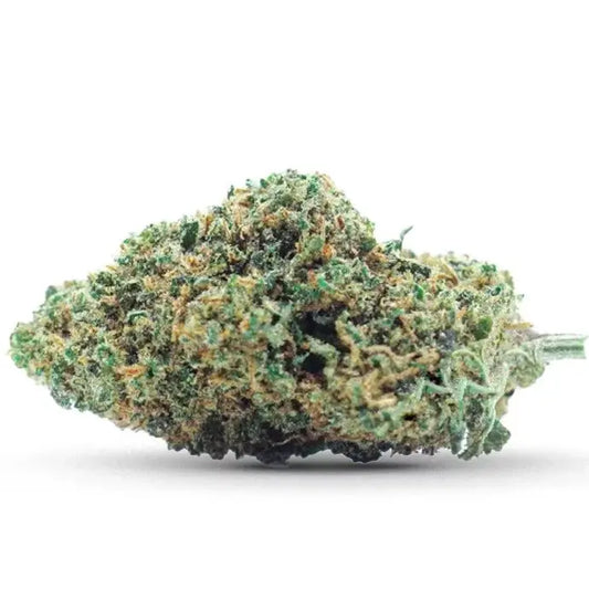 Gelato Cannabidream