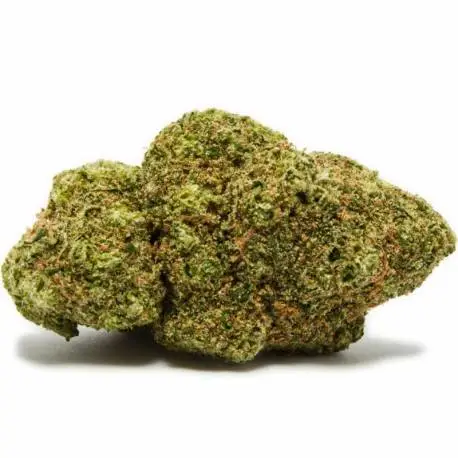 Gorilla Glue