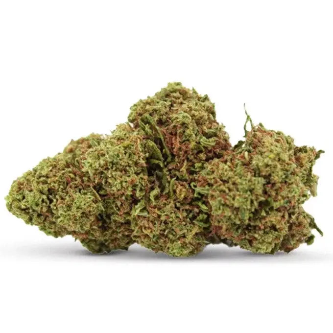White Widow Cannabidream